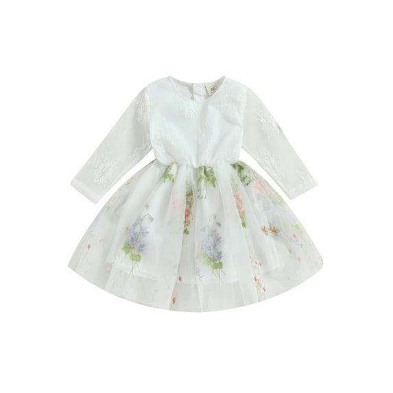 Bagilaanoe Toddler Baby Girl Fall Lace Dress Floral Embroidery Long Sleeve A-line Princess Dresses 6M 12M 2T 3T 4T 5T Kid Fall Patchwork Tulle Skirt