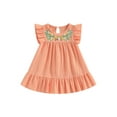 thumbnail image 1 of Bagilaanoe Toddler Baby Girl Summer Dress Floral Embroidery Flying Sleeve A-line Dresses 6M 12M 18M 24M 3T 4T 5T Kids Casual Swing Sundress, 1 of 9