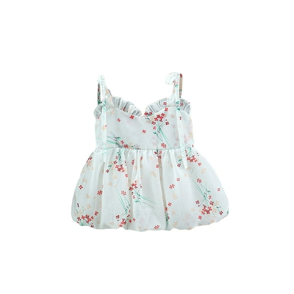 Bagilaanoe Toddler Baby Girl Summer Dress Flower Print Sleeveless A-line Princess Dresses 6M 12M 18M 24M 3T Kid Chiffon Swing Sundress