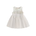 thumbnail image 1 of Bagilaanoe Toddler Baby Girls Formal Dress Sleeveless A-line Princess Dresses 6M 12M 18M 24M 3T 4T 5T Kids Lace Tulle Dress for Wedding Birthday Party Gown, 1 of 8