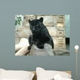 thumbnail image 1 of Bagira Panther Wall Mural Decal Sticker, Wallmonkeys Peel & Stick Vinyl Graphic (36 in W x 27 in H, 1 of 4
