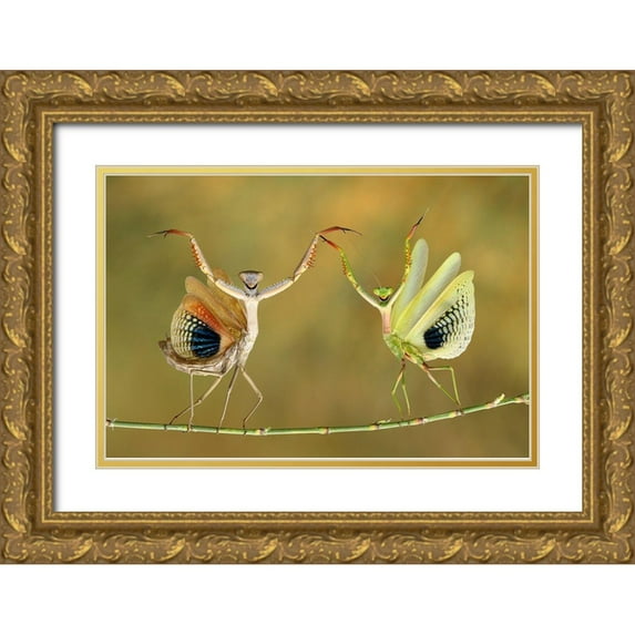 Baglar, Hasan 24x17 Gold Ornate Wood Framed with Double Matting Museum Art Print Titled - Show Time