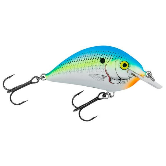 Bagley PSB07-CTSD Pro Sunny B07 Citrus Shad, 3", 1/2oz.