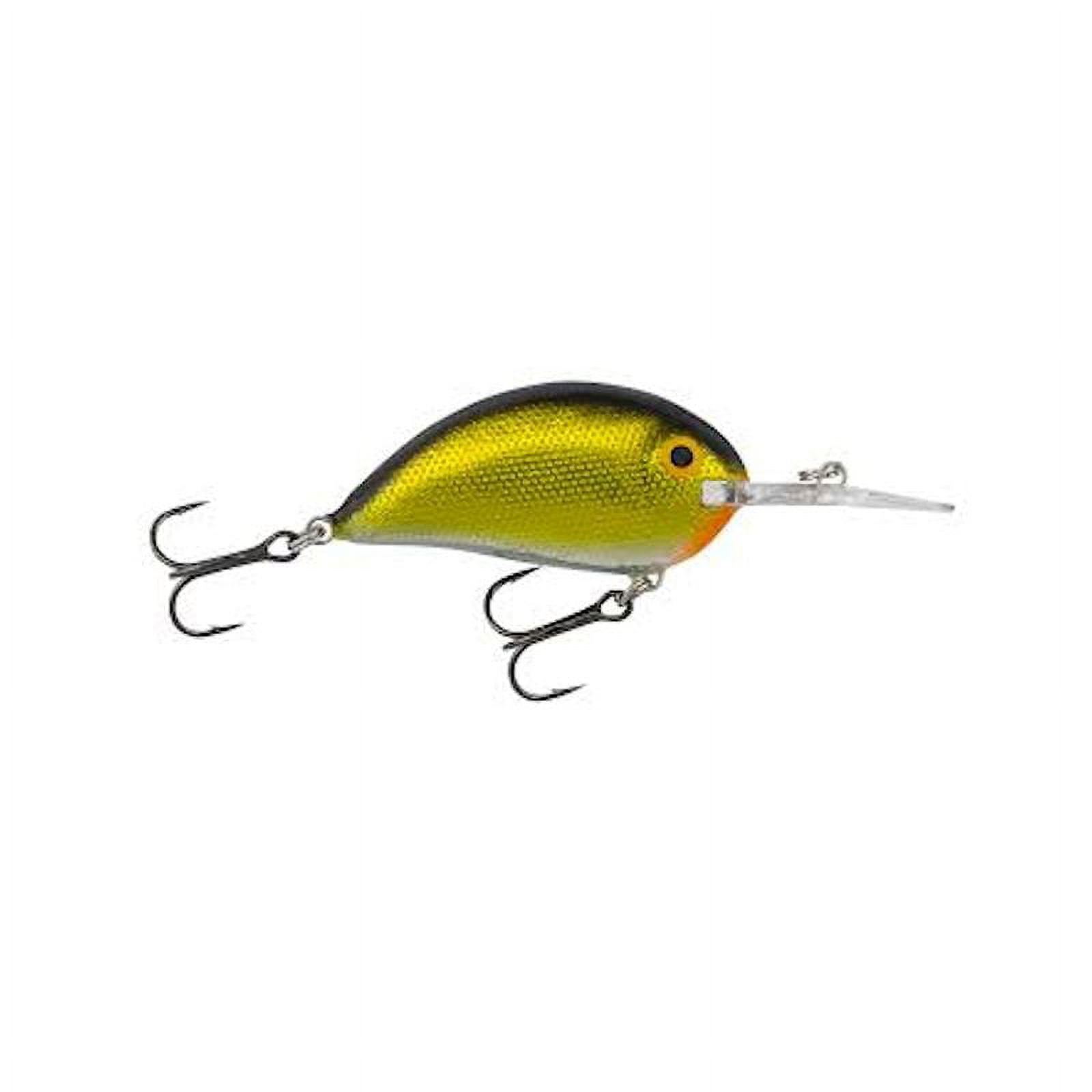 bagleys b 52 fishing lure Bagley Balsa Diving DB1, DB2 (2 Sizes, 14+ Colors to Choose from) My Bait Shop, LLC tuned action Bagley SB05-G Sunny B Balsa