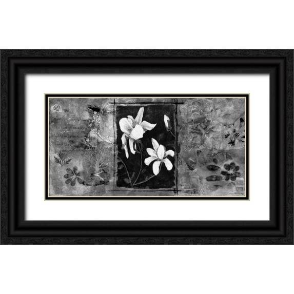 Bagnato, Judi 24x14 Black Ornate Wood Framed with Double Matting Museum Art Print Titled - Spring Paradise 2