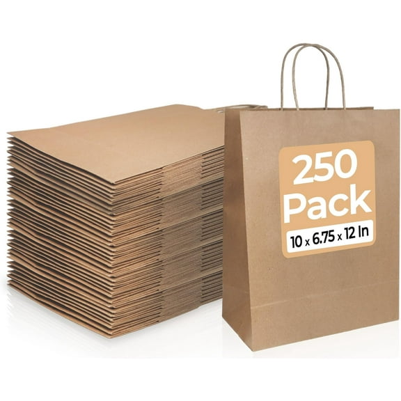Bagtron 250 Kraft Paper Bags 10"x6.75"x12" with Twisted Handles for Take-Out, To-Go, Retail Business, Restaurant, Shopping, Craft Gift Bag, 100 GSM, Brown