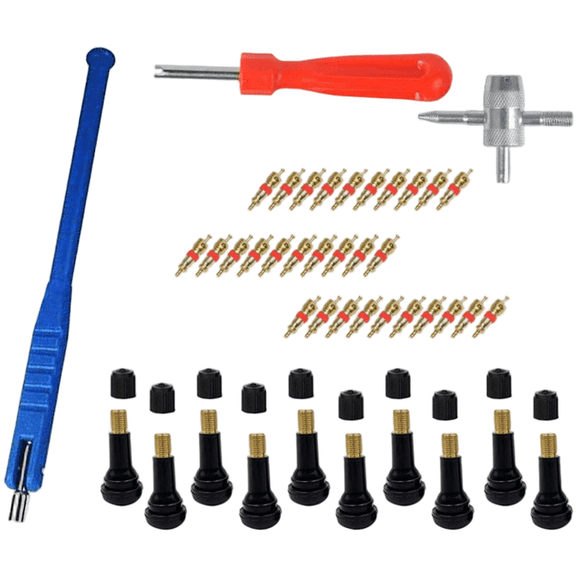 Baguer 43 Pcs Alloy Steel Tire Valve Core tool Set Tr412 Vacuum Tire Installation,Simple Operation, One Step Use, Save Your Time