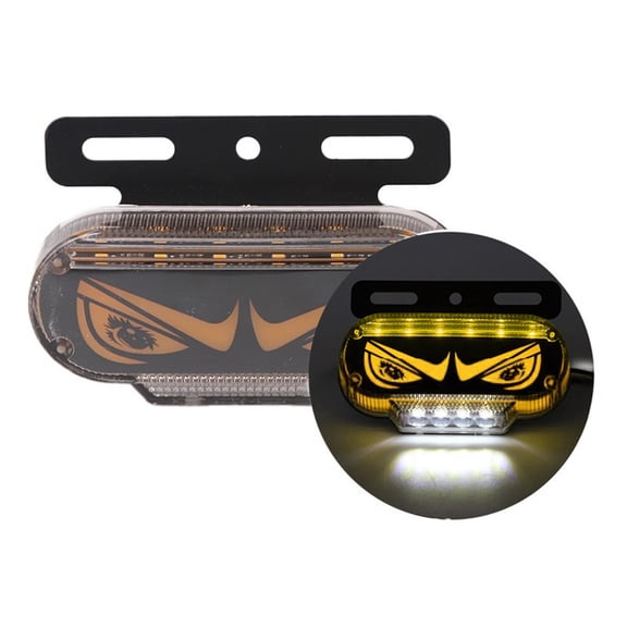 Baguer Truck Side Light With 1224V Dynamic Flashing Eye Pattern for Trailer and Rv Safety In Red Green Blue White Yellow