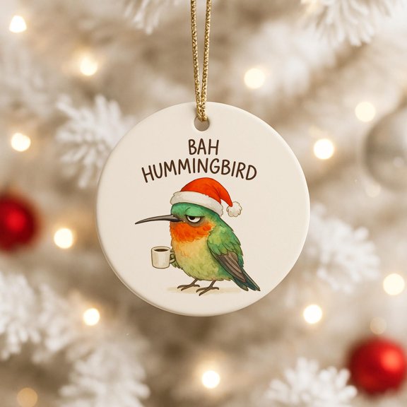 Bah Hummingbird Ornament Funny Christmas Gift for Bird Lover Hummingbird Tree Decoration Holiday Keepsake for Birdwatcher Backyard Birder