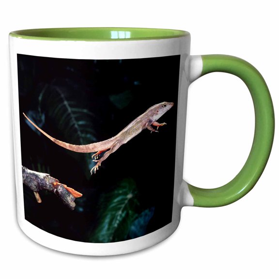 3drose, Bahama Brown Anole Lizard - Na02 Dno0261 - David Northcott, 15oz Two-tone Green Mug