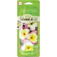 thumbnail image 1 of Bahama & Co. Flower Necklace, Waikiki Wild Hibiscus, 1 of 3