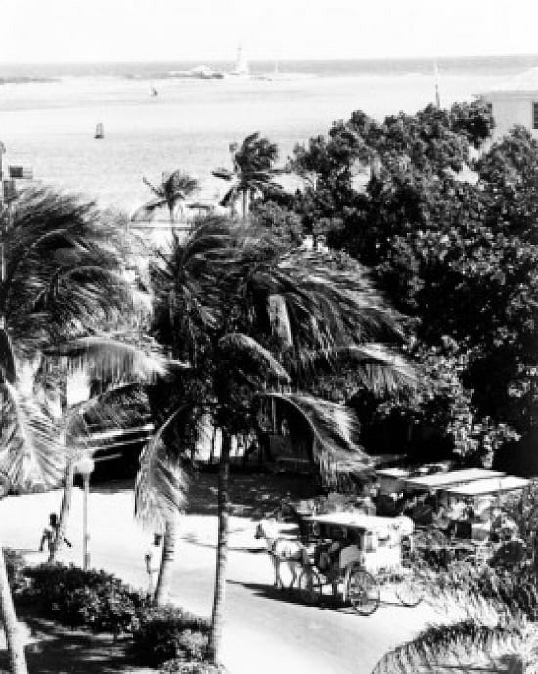 Bahamas Nassau Horse drawn and coastline in the background high angle view Canvas Art - (18 x 24)