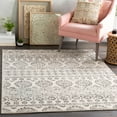 thumbnail image 1 of Bahar Charcoal 2' x 2'11" Traditional Rectangle Area Rug, 1 of 6