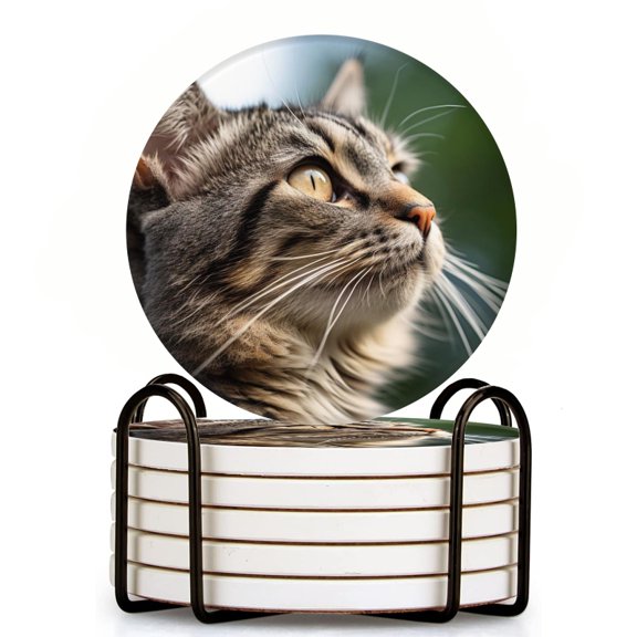 Bahomeck Drink Coasters Set Of 6 With Holder Adorable Long-Haired Cat With Head Tilted To One Side Water Absorbent Ceramic Coasters Tabletop Protection,Suitable For Various Cup,Home Decor