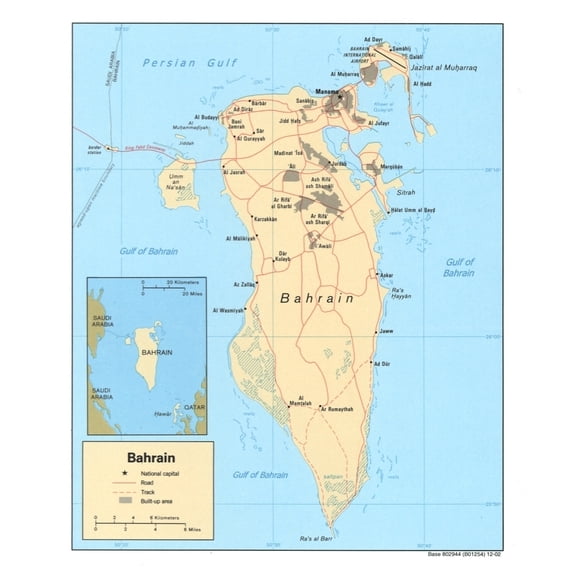 Bahrain. 2003 History (24 x 18)