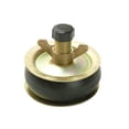 thumbnail image 1 of Bailey - 1961 Drain Test Plug 150mm (6in) - Plastic Cap, 1 of 1