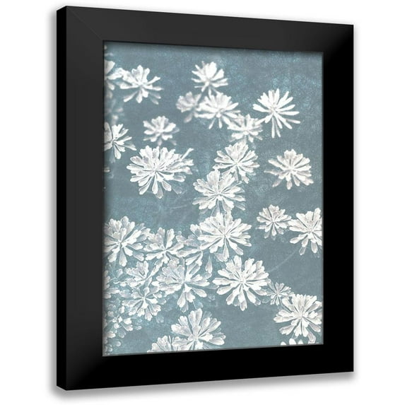 Bailey, Ann 11x14 Black Modern Framed Museum Art Print Titled - Blooms Falling