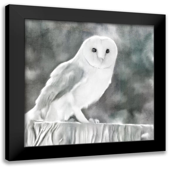 Bailey, Ann 12x12 Black Modern Framed Museum Art Print Titled - White Barn Owl