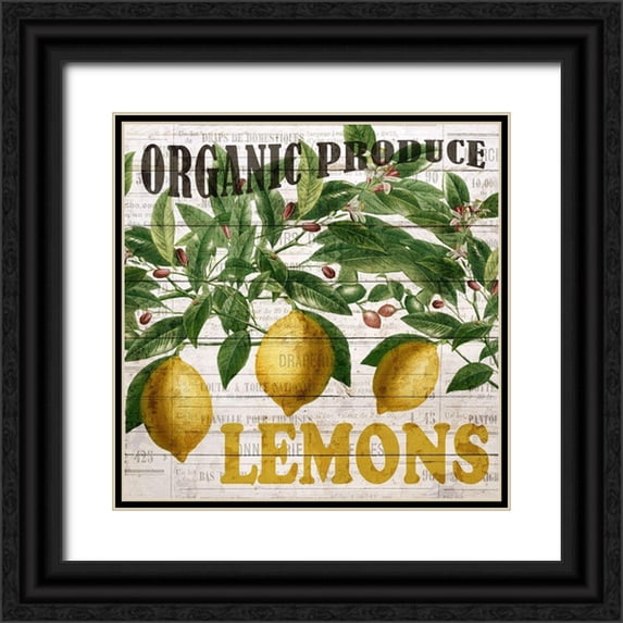 Bailey, Ann 12x12 Black Ornate Wood Framed with Double Matting Museum Art Print Titled - Fresh Picked Lemons