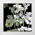 thumbnail image 1 of Bailey, Ann 12x12 White Modern Wood Framed Museum Art Print Titled - Botanical Sage and White 2, 1 of 4