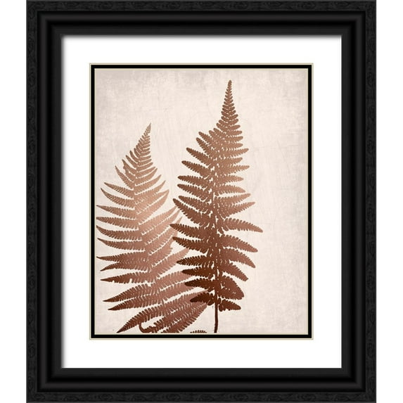 Bailey, Ann 12x14 Black Ornate Wood Framed with Double Matting Museum Art Print Titled - Copper Pink Ferns 1