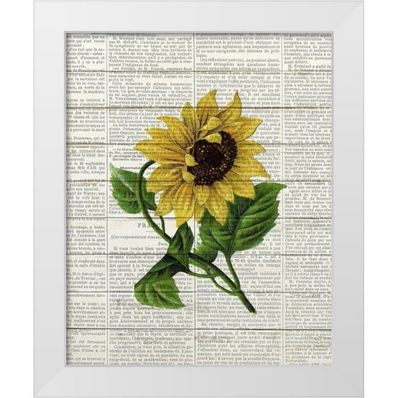 Bailey, Ann 12x14 White Modern Wood Framed Museum Art Print Titled - Sunflower Print 1