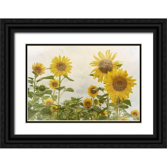 Bailey, Ann 14x11 Black Ornate Wood Framed with Double Matting Museum Art Print Titled - Sunny Mood
