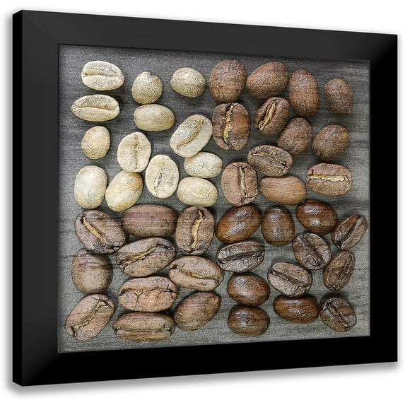 Bailey, Ann 15x15 Black Modern Framed Museum Art Print Titled - Coffee Beans 1