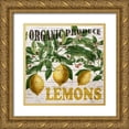 thumbnail image 1 of Bailey, Ann 15x15 Gold Ornate Wood Framed with Double Matting Museum Art Print Titled - Fresh Picked Lemons, 1 of 4