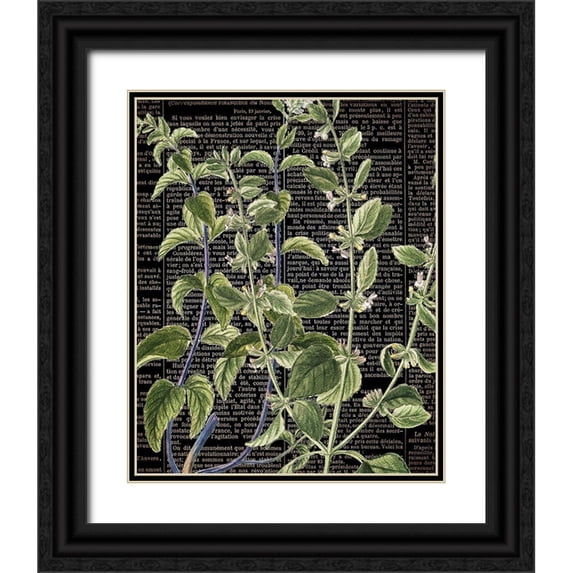 Bailey, Ann 15x18 Black Ornate Wood Framed with Double Matting Museum Art Print Titled - Botanical Newspaper 2