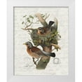 thumbnail image 1 of Bailey, Ann 15x18 White Modern Wood Framed Museum Art Print Titled - Nesting 1, 1 of 4