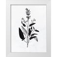 thumbnail image 1 of Bailey, Ann 19x24 White Modern Wood Framed Museum Art Print Titled - Pressed Herbs 3, 1 of 4