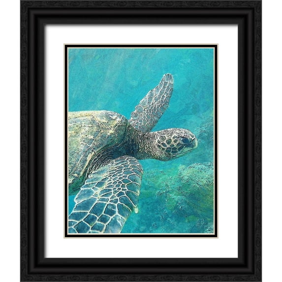 Bailey, Ann 20x24 Black Ornate Wood Framed with Double Matting Museum Art Print Titled - Sea Turtle 1