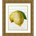 thumbnail image 1 of Bailey, Ann 20x24 Gold Ornate Wood Framed with Double Matting Museum Art Print Titled - Easy Peasy, 1 of 4