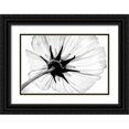 thumbnail image 1 of Bailey, Ann 24x17 Black Ornate Wood Framed with Double Matting Museum Art Print Titled - Anemone, 1 of 4