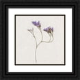 thumbnail image 1 of Bailey, Ann 26x26 Black Ornate Wood Framed with Double Matting Museum Art Print Titled - Dainty Purple 2, 1 of 4