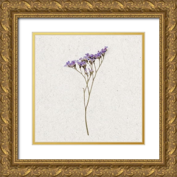 Bailey, Ann 26x26 Gold Ornate Wood Framed with Double Matting Museum Art Print Titled - Dainty Purple 3