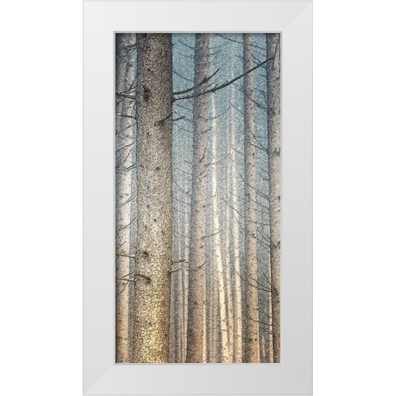 Bailey, Ann 9x14 White Modern Wood Framed Museum Art Print Titled - Forest Dreaming 1