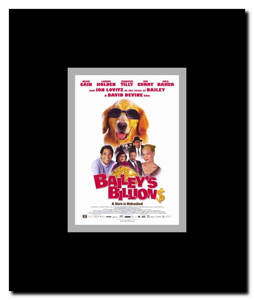 Bailey's Billions Framed Movie Poster