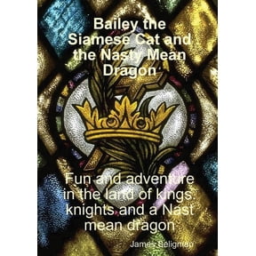 Bailey the Siamese Cat and the Nasty Mean Dragon, (Paperback)