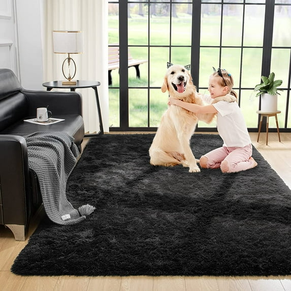 Bailu Fluffy Black Rug for Living Room,2x3 Area Rugs,Thick Plush Shag Rug,Shaggy Rugs for Bedroom,Big Fuzzy Carpet,Comfy Kids Rugs,Large Living Room Rugs,Living Room Decor