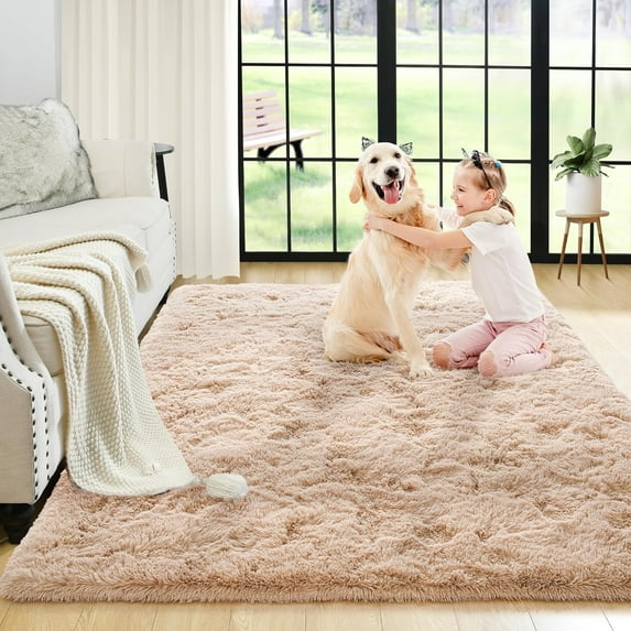Bailu Fluffy Brown Rug for Living Room,3x5 Area Rugs,Thick Plush Shag Rug,Shaggy Rugs for Bedroom,Big Fuzzy Carpet,Comfy Kids Rugs,Large Living Room Rugs,Living Room Decor