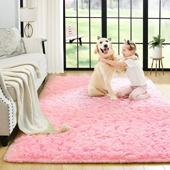 Bailu Fluffy Pink Rug for Living Room,2x3 Area Rugs,Thick Plush Shag Rug,Shaggy Rugs for Bedroom,Big Fuzzy Carpet,Comfy Kids Rugs,Large Living Room Rugs,Living Room Decor