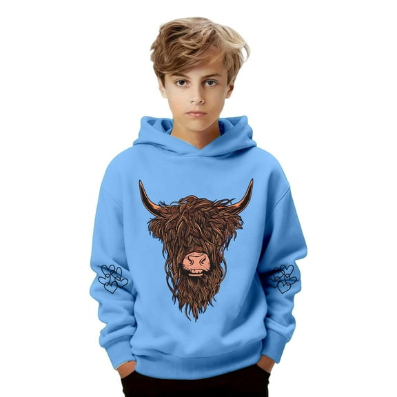 Bainana Little Boys Hoodie Cartoon Print Long Sleeve Hooded Tops Casual Soft Kids Autumn Winter Pullover Sweatshirt 2-3 Years