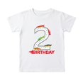 thumbnail image 1 of Bainana Boys Short Sleeve T Shirts Number Two Print Regular Fit Tops Big Kids Birthday Tees, 1 of 4