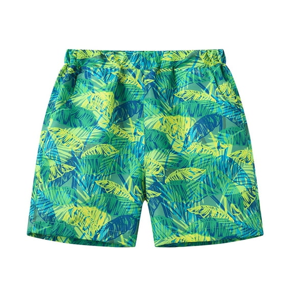 Bainana Shorts For Boys Toddler Cartoon Print Elastic Waist Straight Leg Shorty Fashion Soft Kids Summer Swim Trunks 2-3 Years Green