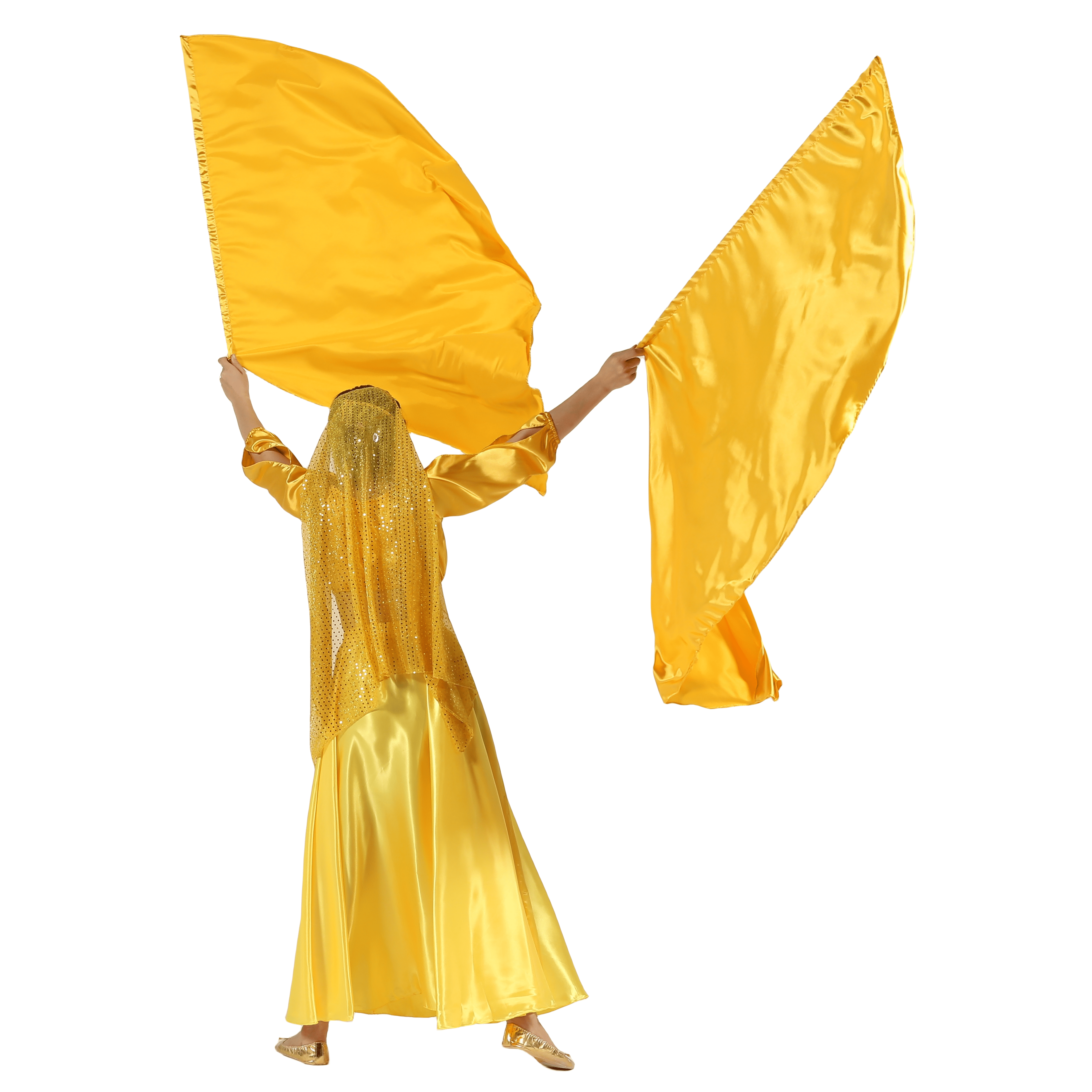 Baisdan Worship Flag for Dance Church Praise Dance Flags for Teenager