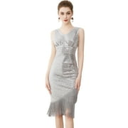 Baisdan Sequin Dress for Women 1920s Dress Great Gatsby Sparkle Cocktail Fringe Flapper Dresses Costume Outfit Gift, Silver, Medium