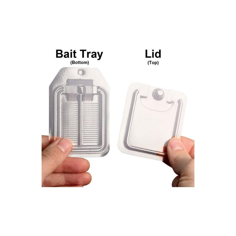 Bait Plate Insect Bait Stations by NeosKon- 24 Stations by Rockwell