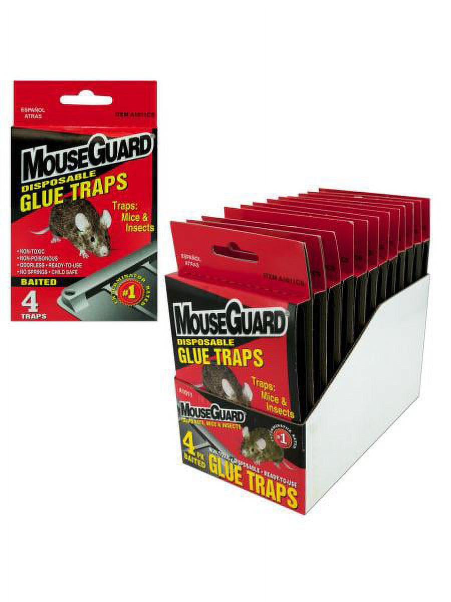 Baited glue traps (Available in a pack of 12) - image 1 of 2